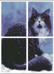 (image for) Let Me In